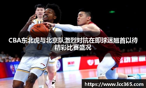 TOP1体育平台